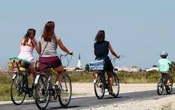 ile-de-re-velo